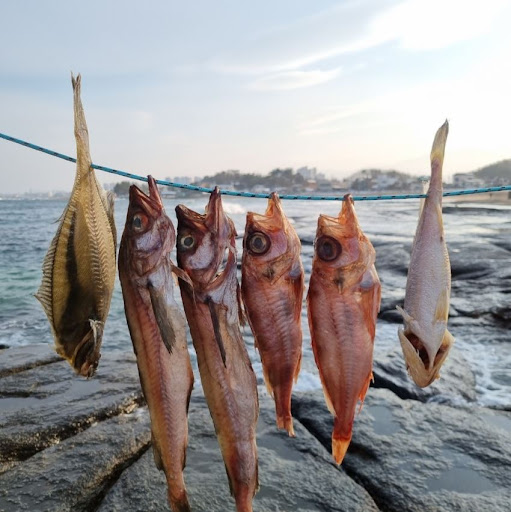 국산 반건조생선의 풍미를 속초사이버장터에서 만나보세요